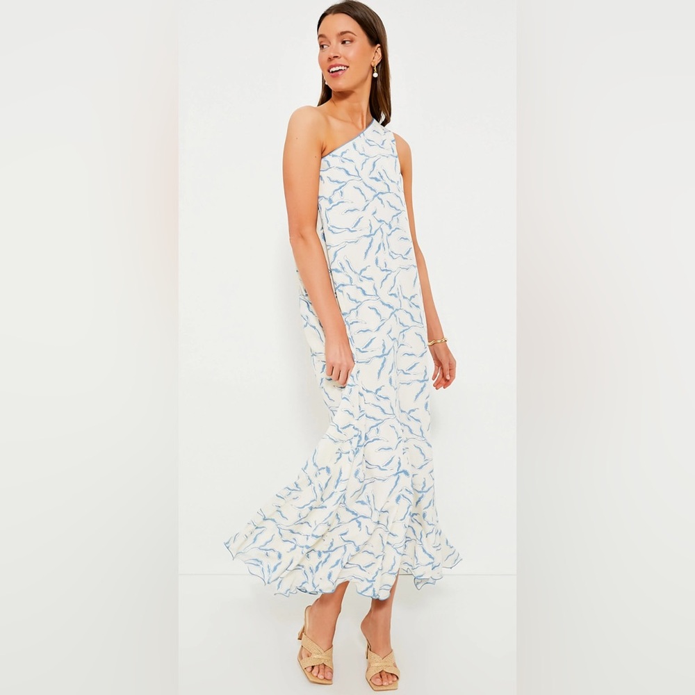 Tuckernuck Elegant Blue and White Patterned Dress